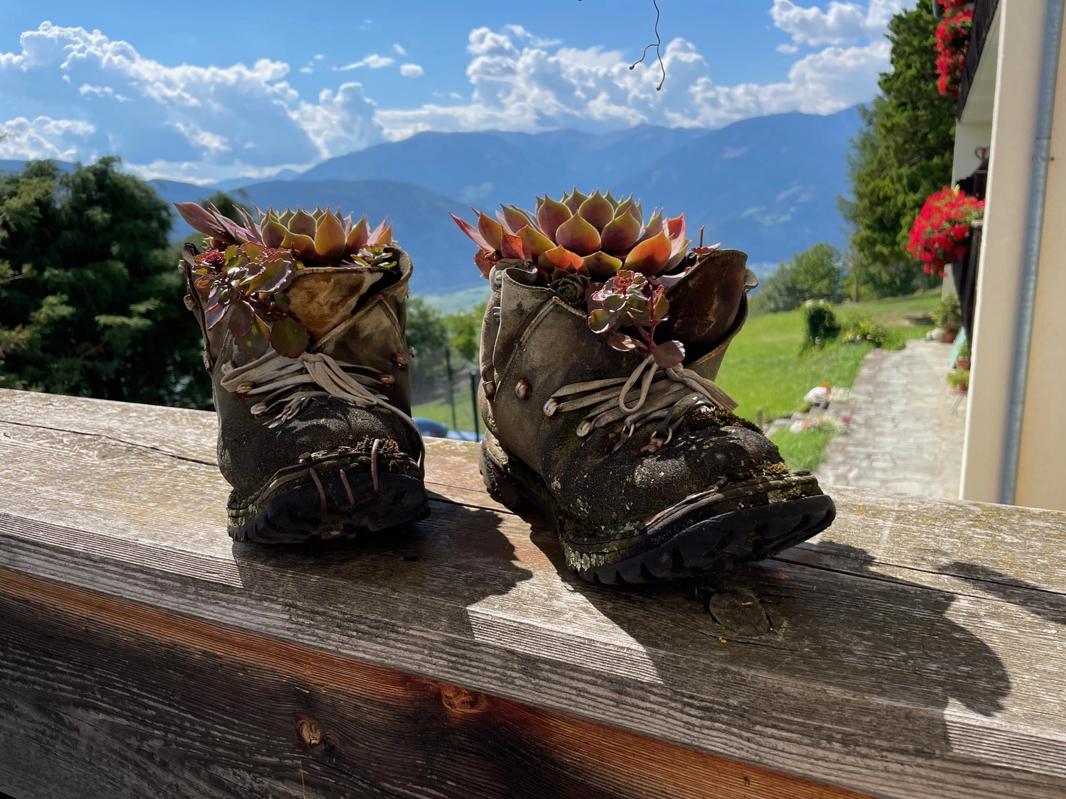 Mindtrail - Coaching und Mentoring - Zwei alte, abgenutzte Wanderschuhe, die zu Pflanzgefäßen für Sukkulenten umfunktioniert wurden, stehen auf einem Holzsims mit Blick auf die Berge im Hintergrund.